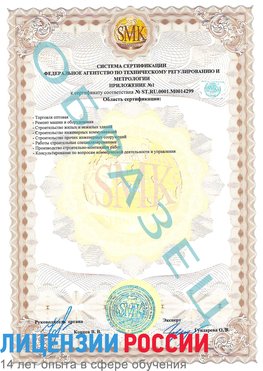 Образец сертификата соответствия (приложение) Чамзинка Сертификат ISO 14001